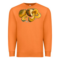 Carrot Pumpkin Premium Sweatshirt - LillyAllenDesigns