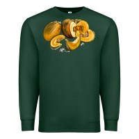 Sports Green Pumpkin Premium Sweatshirt - LillyAllenDesigns