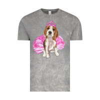 Cloud Rock Balerina beagle with tutu Vintage Tee - RanaPortraitStore