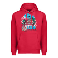 Cardinal Barn in the USA Premium Hoodie - FaDigitalArtStudio