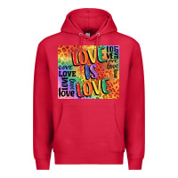 Cardinal Pride love is love Premium Hoodie - FaDigitalArtStudio