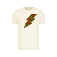 Vintage Arctic Cactus Pattern Lightning Vintage Tee - Bettercallsaul