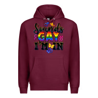 Burgundy sounds gay im in Premium Hoodie - FaDigitalArtStudio