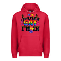 Cardinal sounds gay im in Premium Hoodie - FaDigitalArtStudio