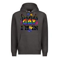 Smoke sounds gay im in Premium Hoodie - FaDigitalArtStudio