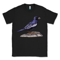 Black Lark Bunting Colorado State Bird Classic Tee - RanaPortraitStore