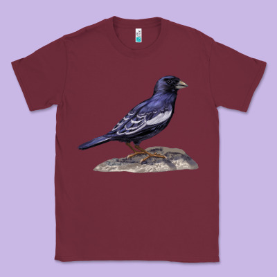 Lark Bunting Colorado State Bird Classic Tee Designed By Ranaportraitstore