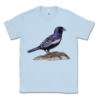 Dusty Blue Lark Bunting Colorado State Bird Classic Tee - RanaPortraitStore