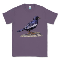 Lavender Lark Bunting Colorado State Bird Classic Tee - RanaPortraitStore