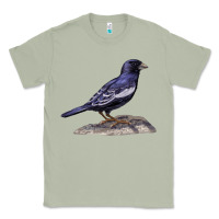 Matcha Lark Bunting Colorado State Bird Classic Tee - RanaPortraitStore
