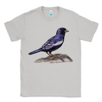 Moon Dust Lark Bunting Colorado State Bird Classic Tee - RanaPortraitStore