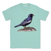 Seafoam Lark Bunting Colorado State Bird Classic Tee - RanaPortraitStore
