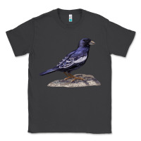 Smoke Lark Bunting Colorado State Bird Classic Tee - RanaPortraitStore