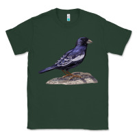 Sports Green Lark Bunting Colorado State Bird Classic Tee - RanaPortraitStore