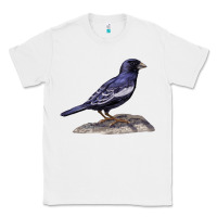 White Lark Bunting Colorado State Bird Classic Tee - RanaPortraitStore