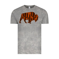 Cloud Rock Red Cactus Bison Silhouette Vintage Tee - Bettercallsaul