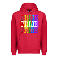Cardinal Pride pride pride Premium Hoodie - FaDigitalArtStudio