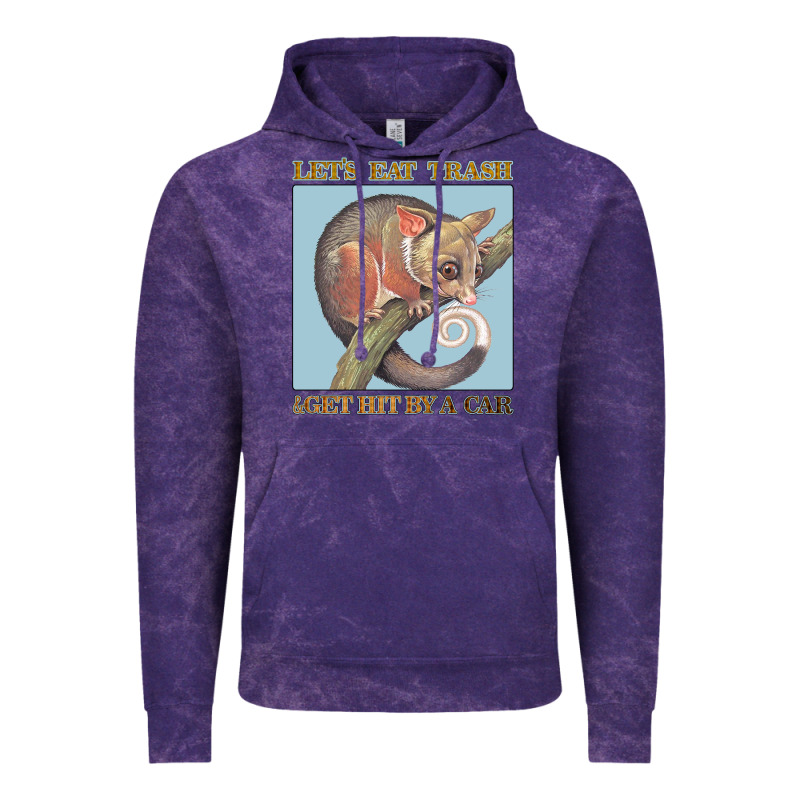 Let's Eat Trash & Get Hit By A Car Vintage Hoodie by Bettercallsaul | Teevron