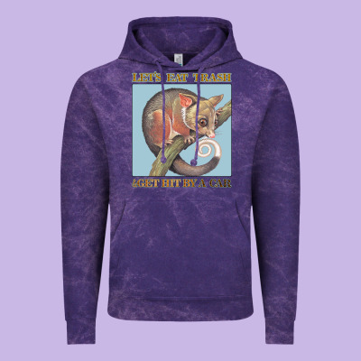 Let's Eat Trash & Get Hit By A Car Vintage Hoodie Designed By Bettercallsaul