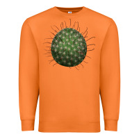 Carrot Arizona Fishhook Cactus Premium Sweatshirt - LillyAllenDesigns