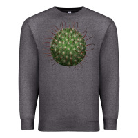 Charcoal Heather Arizona Fishhook Cactus Premium Sweatshirt - LillyAllenDesigns