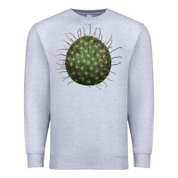 Heather Grey Arizona Fishhook Cactus Premium Sweatshirt - LillyAllenDesigns