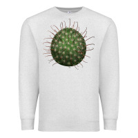 Oatmeal Heather Arizona Fishhook Cactus Premium Sweatshirt - LillyAllenDesigns