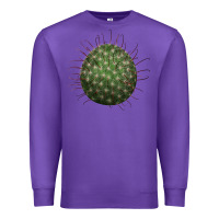 Purple Arizona Fishhook Cactus Premium Sweatshirt - LillyAllenDesigns