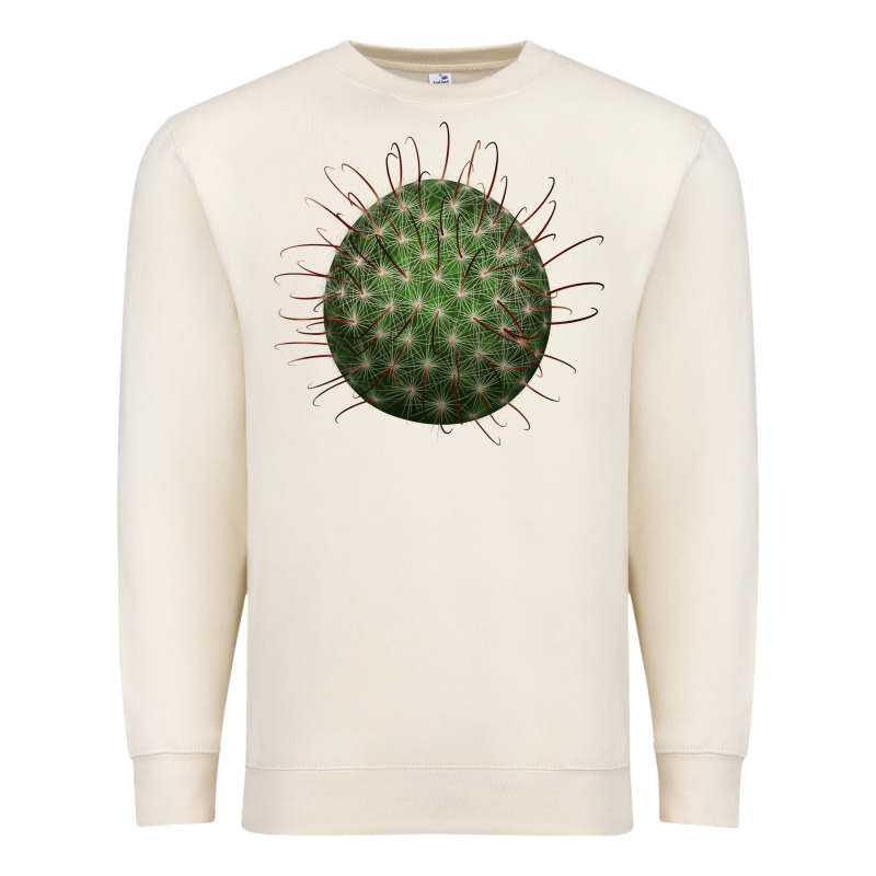 Arizona Fishhook Cactus Premium Sweatshirt by LillyAllenDesigns | Teevron