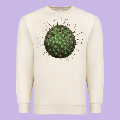 Arizona Fishhook Cactus Premium Sweatshirt Designed By Lillyallendesigns