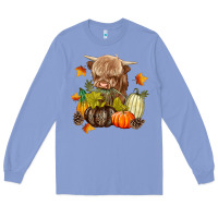 Colony Blue Heifer with Pumpkins Long Sleeve Tee - texasbilliewilder