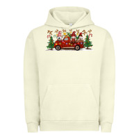 Pigment Pistachio Christmas Gnome Truck Urban Hoodie - Artiststas