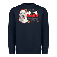I Believe In Santa Paws Heavyweight Sweatshirt | Teevron