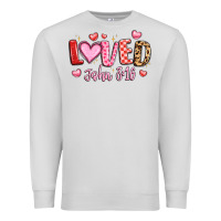 Dove Grey loved john 3 16 Premium Sweatshirt - LillyAllenDesigns