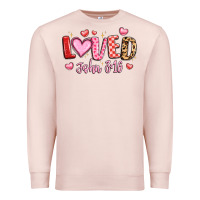 Pale Pink loved john 3 16 Premium Sweatshirt - LillyAllenDesigns