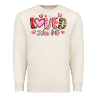 Sandshell loved john 3 16 Premium Sweatshirt - LillyAllenDesigns