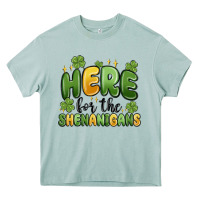 Arona here for the shenanigans Heavy Core Tee - MaliasSmallBusiness