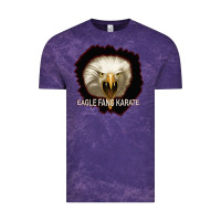 Cloud Purple Eagle Fang Karate Vintage Tee - Bettercallsaul