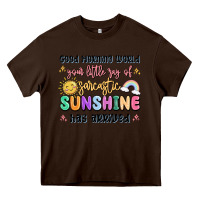 Chocolate Brown good morning world your little ray of sarcastic Heavy Core Tee - MaliasSmallBusiness