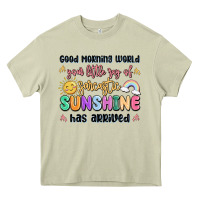 Mossy good morning world your little ray of sarcastic Heavy Core Tee - MaliasSmallBusiness