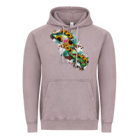 Vintage Zinc Baja California Sur State Of Mexico Map Vintage Hoodie - RanaPortraitStore