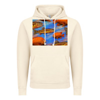 Vintage Artic California Golden Trout Garibaldi Fish Background Vintage Hoodie - Bettercallsaul