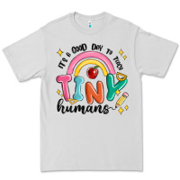 Dove Grey its a good day to teach tiny humans Premium Tee - MaliasSmallBusiness