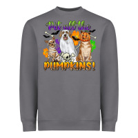 Storm pet all the pumpkins Heavyweight Sweatshirt - CowGirlArtShop