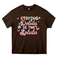 Chocolate Brown staying delulu is the solulu Heavy Core Tee - MaliasSmallBusiness