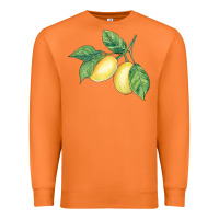 Carrot lemons Premium Sweatshirt - BundleAndBundleShop