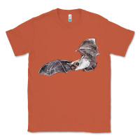 Copper mexican free tailed bat Classic Tee - LillyAllenDesigns