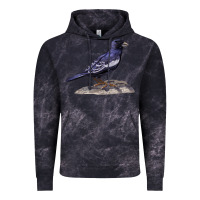Lark Bunting Colorado State Bird Vintage Hoodie | Teevron
