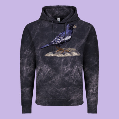 Lark Bunting Colorado State Bird Vintage Hoodie Designed By Ranaportraitstore