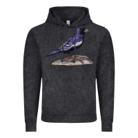 Vintage Black Lark Bunting Colorado State Bird Vintage Hoodie - RanaPortraitStore